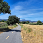 More about aortic flap leakage – Bionicoldguy