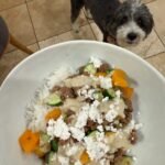 9.26 Friday Favorites – The Fitnessista