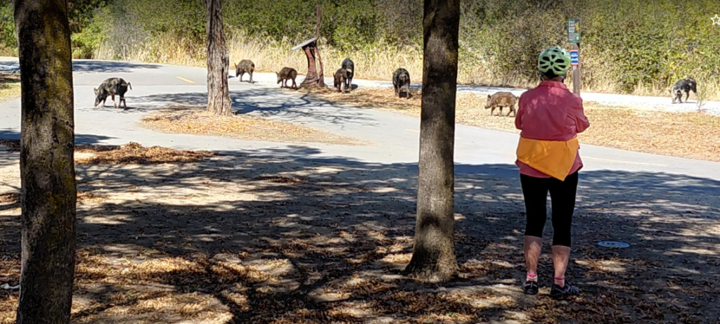 Loving Autumn Riding – BionicOldGuy