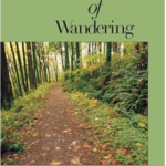 The gentle art of hiking – BionicOldGuy