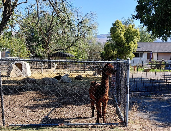 More riding in nice weather until the rain came – BionicOldGuy