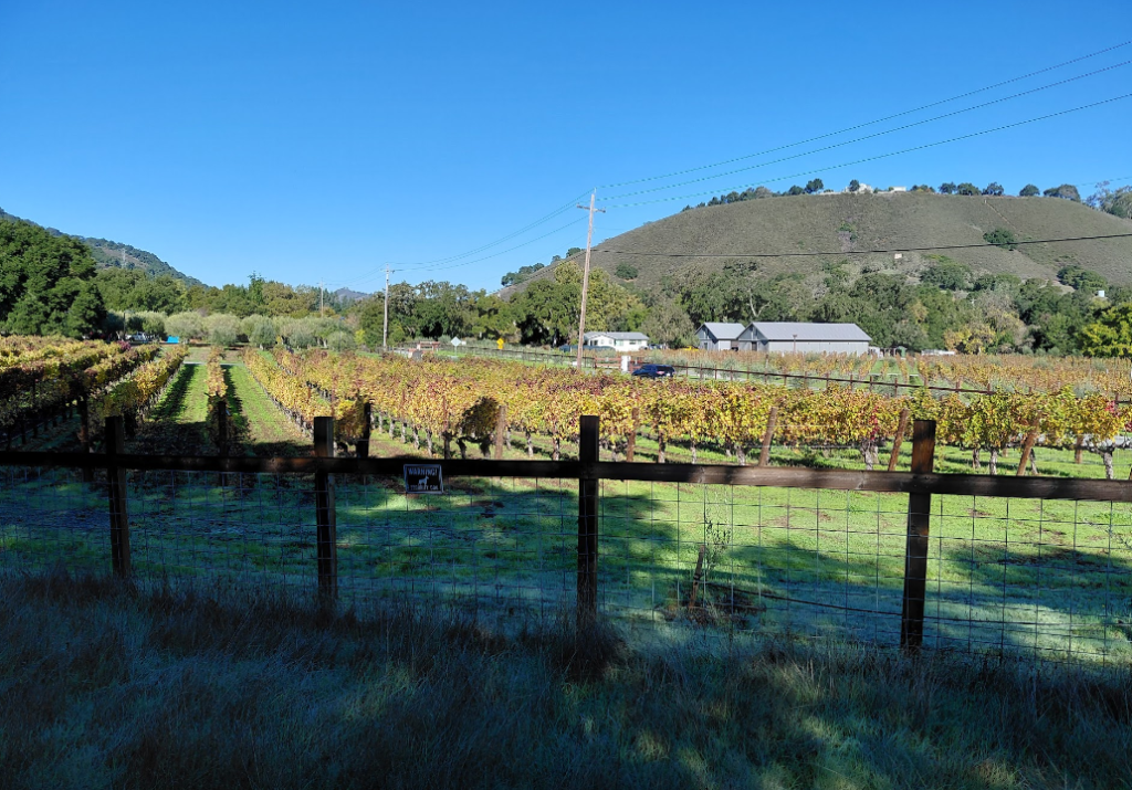 Sunny but cold group ride – BionicOldGuy