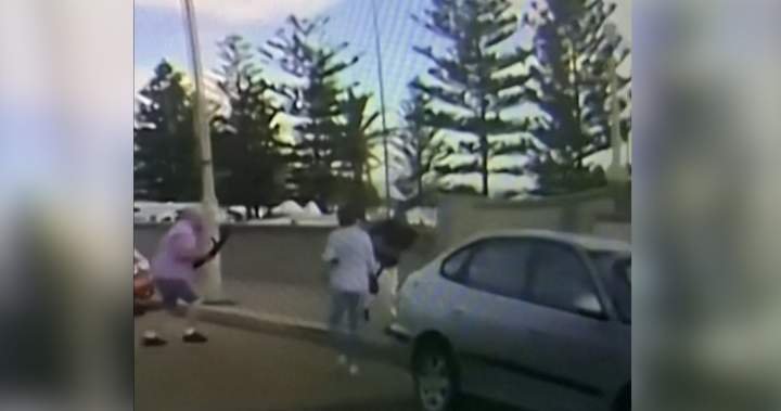 Bondi Beach attack: Dashcam video shows couple confronting suspected shooter – National