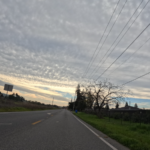 Back to longer upright riding – BionicOldGuy