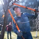 Essential winter garden tools: chainsaws, snow blowers and pet-safe ice melters