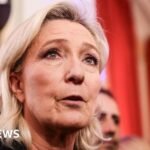 Marine Le Pen’s political fate depends on the opening of the appeal process in France