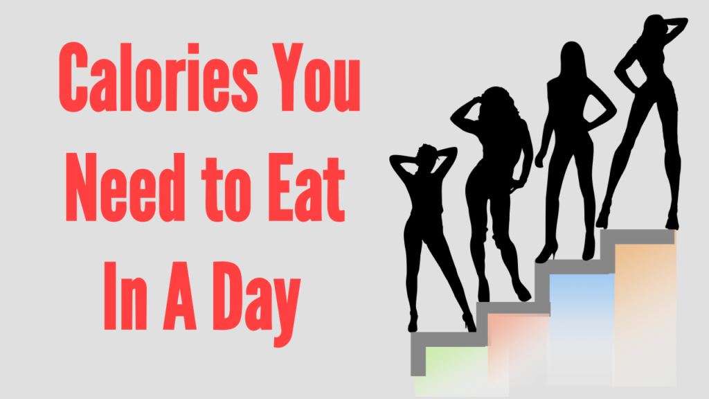 How many calories do I need daily? A guide to daily intake
