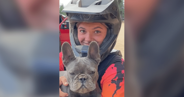 Australia says dingoes were found in a circling teenager in British Columbia who was about to be killed