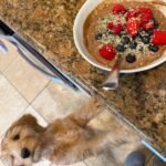 1.30 Friday Favorites – The Fitnessista