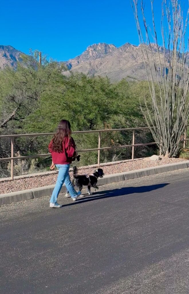 Low-effort wellness habits that actually make a difference