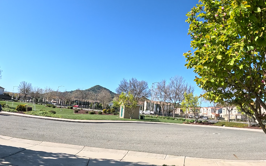 Local Foray – BionicOldGuy